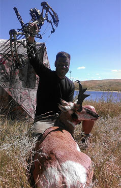 pronghorn-dan